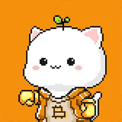 1CAT icon