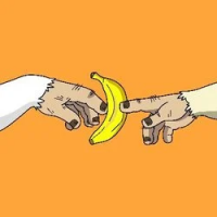 AGB icon