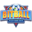 BALL icon