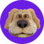 BENDOG icon