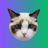 BENJI icon