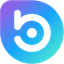BORA icon
