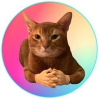 CATWIF icon