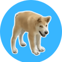 DOGGO icon