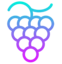 GRAPE icon