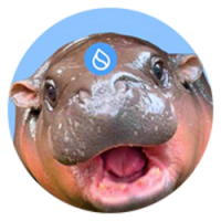 HIPPO icon