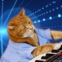 KEYCAT icon