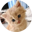 KIKI icon