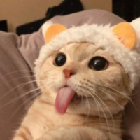 LUIS icon