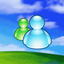 MSN icon