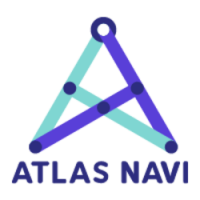 NAVI icon