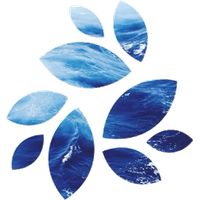 NKN icon
