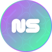NS icon