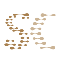 SCT icon