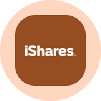 SLVON icon
