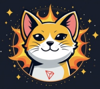 SUNCAT icon