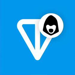 TONCOIN icon