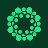 VISION icon