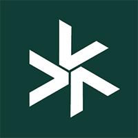 VSN icon