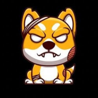 ZINU icon